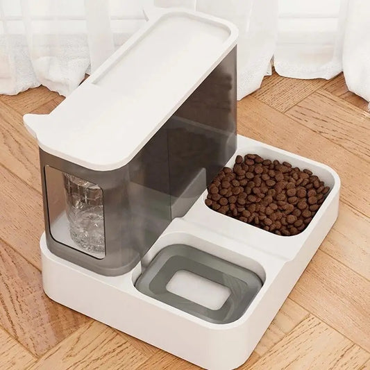 Automatic bowl for cats